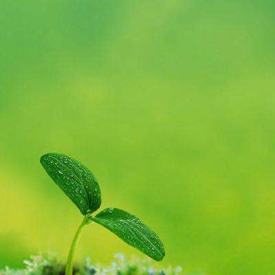 久游棋牌手机app下载